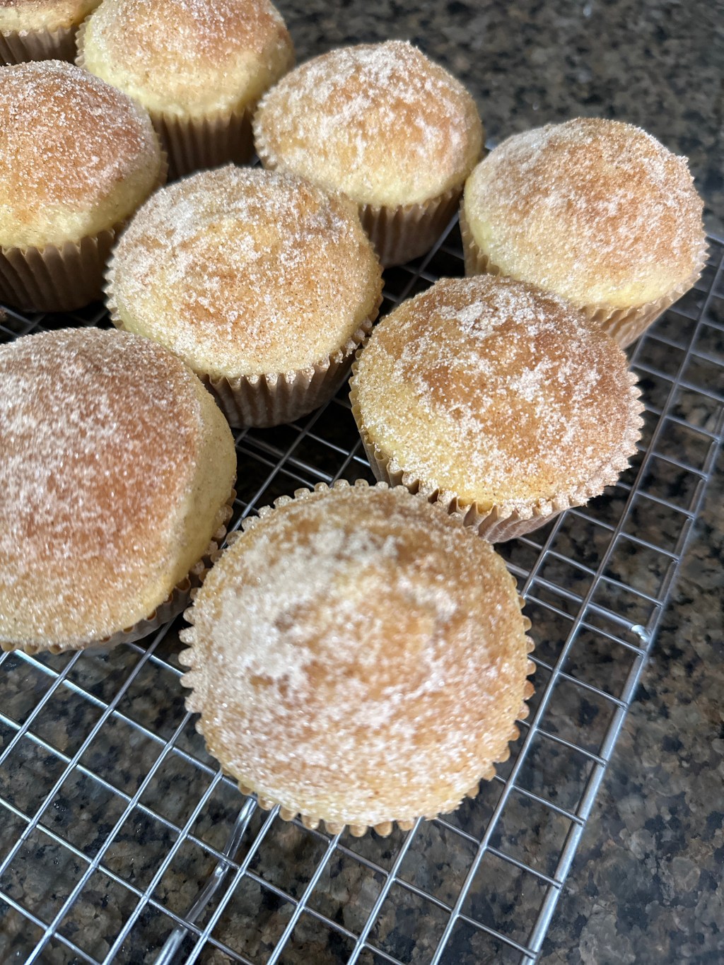 Doughnut Muffins