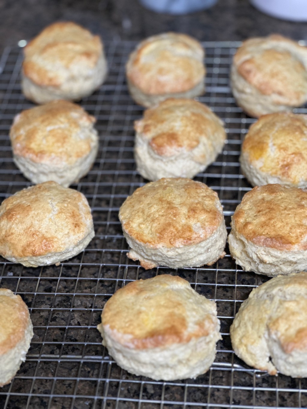Scones (& Clotted&nbsp;Cream)